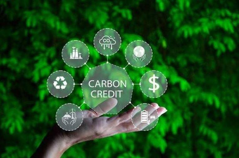 Thuong mai tin chi carbon min - Thương mại tín chỉ carbon: Doanh nghiệp cần chuẩn bị tâm thế sẵn sàng