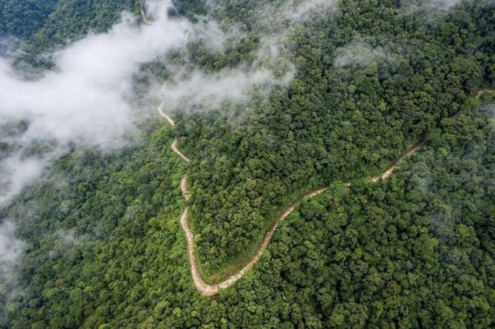 Việt Nam bán tín chỉ carbon rừng: Có tổ chức trả tối thiểu 10 USD/tấn CO2