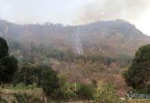 Đã khống chế được cháy rừng ở An Giang