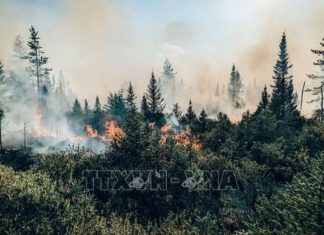 Canada trước nguy cơ tiếp tục trải qua mùa cháy rừng 'thảm khốc'