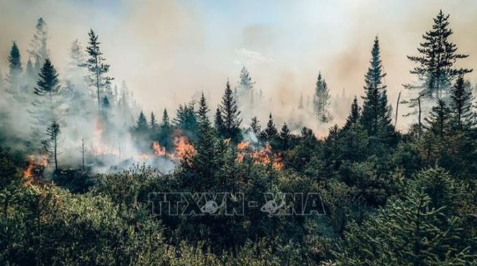Canada trước nguy cơ tiếp tục trải qua mùa cháy rừng 'thảm khốc'