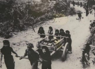 Những đóng góp phi thường của phụ nữ Việt Nam trong thắng lợi Điện Biên Phủ Những đóng góp phi thường của phụ nữ Việt Nam trong thắng lợi Điện Biên Phủ