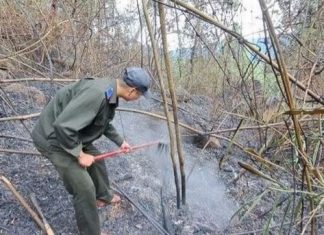 200 người nỗ lực dập cháy rừng ở Đà Nẵng