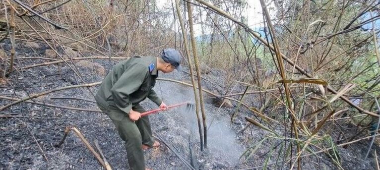200 nguoi no luc dap chay rung o Da Nang min - 200 người nỗ lực dập cháy rừng ở Đà Nẵng