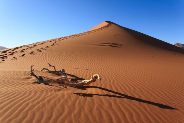 6 2 630x420 - Những bí mật ẩn giấu trong sa mạc lớn nhất thế giới