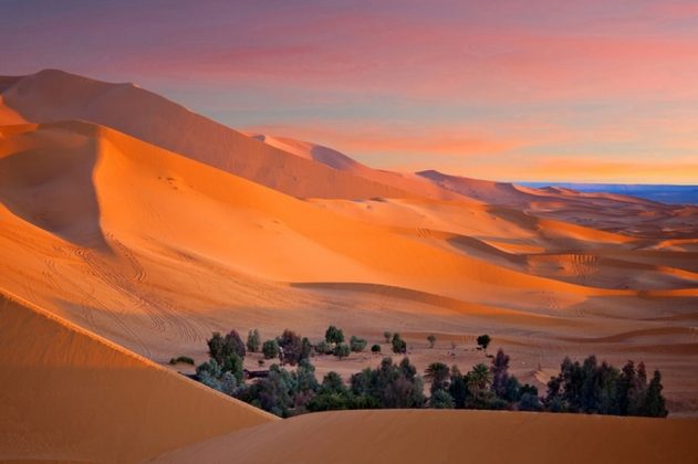 8 2 631x420 - Những bí mật ẩn giấu trong sa mạc lớn nhất thế giới