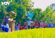 Chợ trên cánh đồng lúa, nét mới của hợp tác xã tại Đồng Tháp