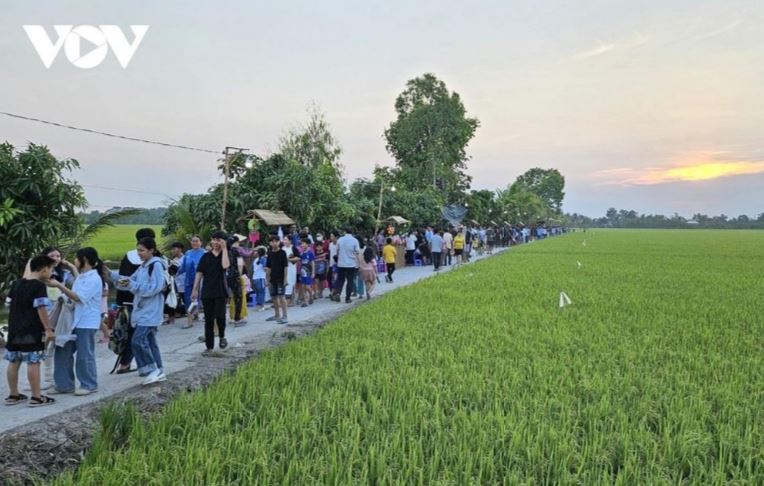 Cho tren canh dong lua 4 min - Chợ trên cánh đồng lúa, nét mới của hợp tác xã tại Đồng Tháp