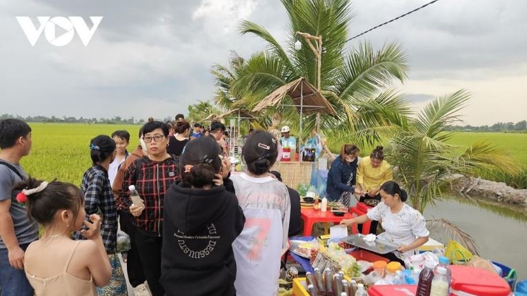 Cho tren canh dong lua min - Chợ trên cánh đồng lúa, nét mới của hợp tác xã tại Đồng Tháp