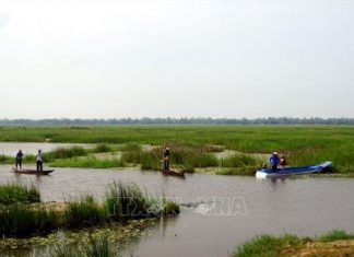 Đa dạng sinh học – tương lai của sự sống - Bài 2: Bảo tồn gắn với tăng trưởng xanh