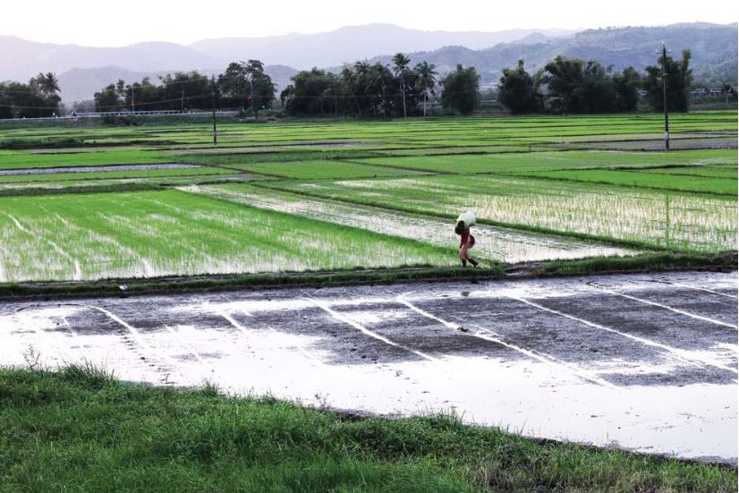 Gió mùa xưa đưa hương nhớ - Tác giả: Võ Tiến