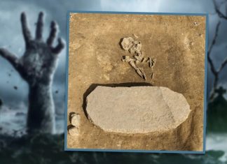 Giới khảo cổ phát hiện ‘mộ zombie’ độc đáo ở Đức Giới khảo cổ phát hiện 'mộ zombie' độc đáo ở Đức