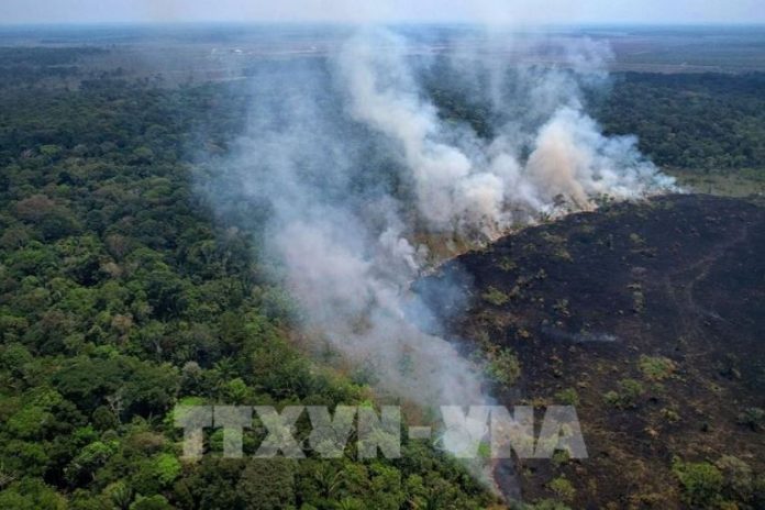 Diện tích cháy rừng Amazon tại Brazil cao kỷ lục trong 25 năm Diện tích cháy rừng Amazon tại Brazil cao kỷ lục trong 25 năm