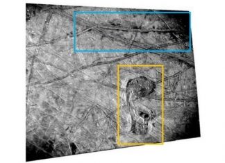 NASA chụp được 'Thú mỏ vịt' di chuyển ở thế giới ngoài hành tinh