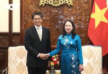 Quyền Chủ tịch nước Võ Thị Ánh Xuân tiếp Đại sứ Nhật Bản trình Quốc thư
