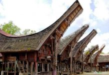 Thần thái Đông Sơn nhà Toraja, Indonesia - Tác giả: Nhà dân tộc học Tạ Đức