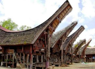 Thần thái Đông Sơn nhà Toraja, Indonesia – Tác giả: Nhà dân tộc học Tạ Đức Thần thái Đông Sơn nhà Toraja, Indonesia - Tác giả: Nhà dân tộc học Tạ Đức