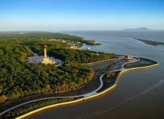 Khám phá hệ sinh thái rừng ngập mặn Cà Mau Khám phá hệ sinh thái rừng ngập mặn Cà Mau