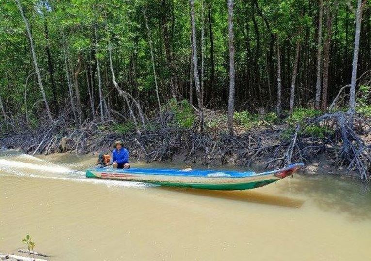 2 min 4 - Khám phá hệ sinh thái rừng ngập mặn Cà Mau