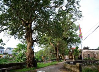 Khúc Thủy – làng cổ ngàn năm bên dòng sông Nhuệ Khúc Thủy – làng cổ ngàn năm bên dòng sông Nhuệ