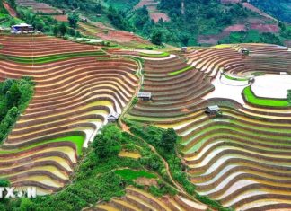 Ruộng bậc thang ở vùng cao Mù Cang Chải vào mùa nước đổ Ruộng bậc thang ở vùng cao Mù Cang Chải vào mùa nước đổ