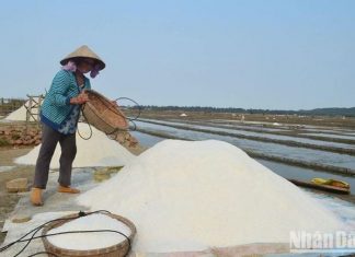Bảo tồn đồng muối truyền thống Sa Huỳnh gắn với phát triển du lịch cộng đồng Bảo tồn đồng muối truyền thống Sa Huỳnh gắn với phát triển du lịch cộng đồng