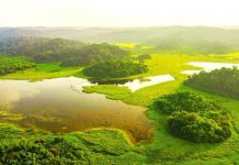 Cát Tiên là vườn quốc gia đầu tiên của Việt Nam đạt danh hiệu Danh lục Xanh