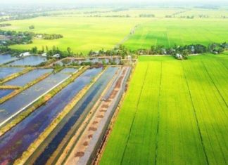 Canada có thể giúp bảo vệ Đồng bằng sông Cửu Long của Việt Nam