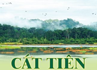 Cát Tiên – Vườn Quốc gia đầu tiên nhận danh hiệu Danh lục xanh Cát Tiên - Vườn Quốc gia đầu tiên nhận danh hiệu Danh lục xanh