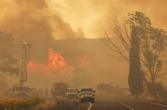 Cháy rừng nghiêm trọng tại Hy Lạp và Thổ Nhĩ Kỳ gây thiệt hại nặng nề
