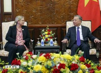 Chủ tịch nước Tô Lâm tiếp các Đại sứ trình quốc thư, chào từ biệt