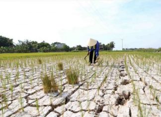 Chung tay quản lý đất bền vững
