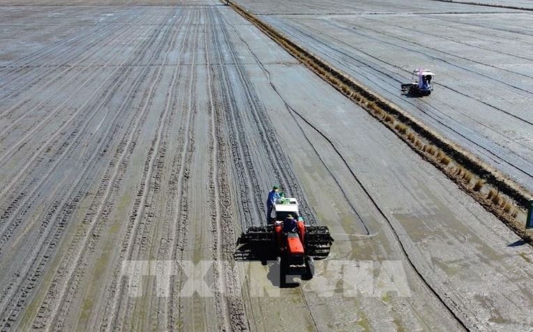 Đồng Tháp kỳ vọng gì từ Đề án 1 triệu ha lúa chất lượng cao, phát thải thấp?
