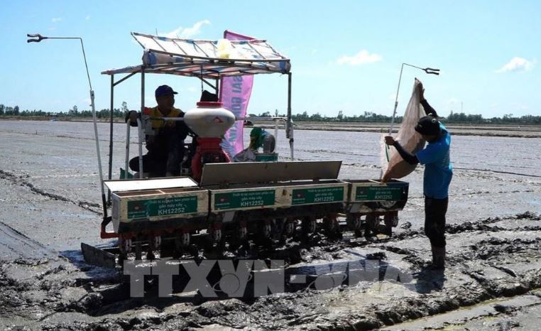 Thiết bị sạ cụm kết hợp bón phân vùi sử dụng trên cánh đồng thực hiện mô hình canh tác lúa chất lượng cao, giảm phát thải tại huyện Tháp Mười. 