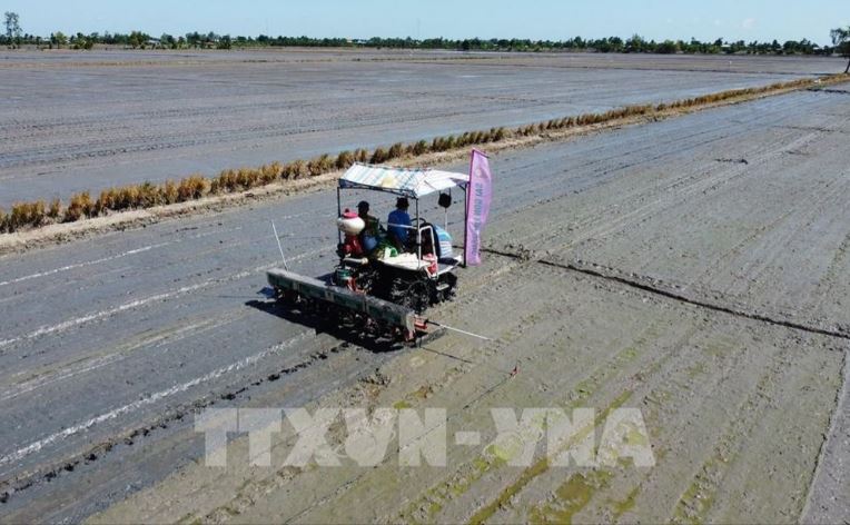 Gieo sạ vụ lúa Thu Đông năm 2024 bằng thiết bị sạ cụm kết hợp bón phân vùi. 