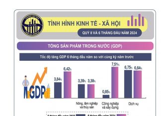 GDP quý II/2024 tăng trưởng cao, ước đạt 6,93% GDP quý II/2024 tăng trưởng cao, ước đạt 6,93%