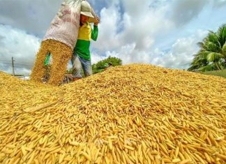 Nông nghiệp vẫn tăng trưởng trong biến động thị trường, thời tiết khắc nghiệt Nông nghiệp vẫn tăng trưởng trong biến động thị trường, thời tiết khắc nghiệt