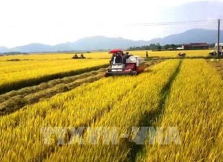 Nông nghiệp xanh: Áp lực tạo ra cơ hội!