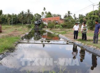 Phát triển ĐBSCL theo hướng thích nghi có kiểm soát Phát triển ĐBSCL theo hướng thích nghi có kiểm soát