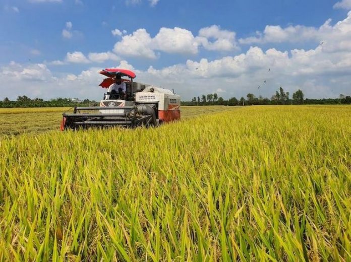 Phát triển lúa gạo bền vững: Nâng cấp chuỗi giá trị chính, đẩy mạnh sản phẩm phụ