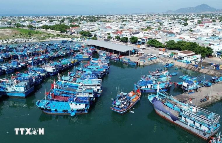 Cảng cá Mỹ Tân (xã Thanh Hải, huyện Ninh Hải, Ninh Thuận) được đầu tư đồng bộ đáp ứng yêu cầu phát triển kinh tế biển của địa phương.