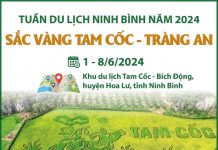 Tuần Du lịch Ninh Bình năm 2024: Sắc vàng Tam Cốc-Tràng An