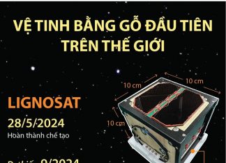 Vệ tinh bằng gỗ đầu tiên trên thế giới