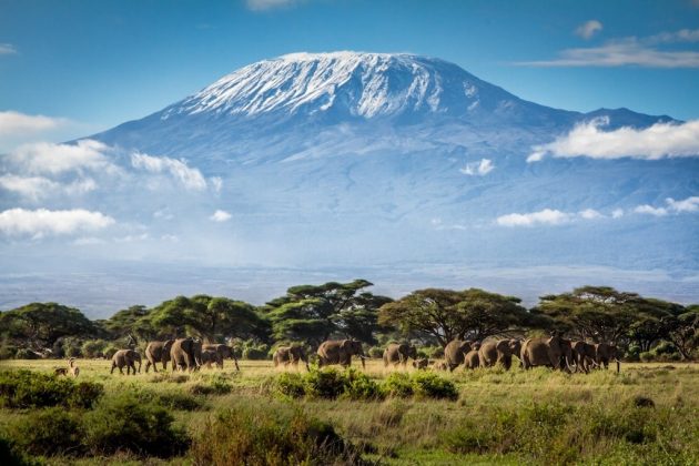 Lonely Planet gợi &yacute; du kh&aacute;ch c&oacute; thể lựa chọn trekking tại khu vực quanh Kilimanjaro, thuộc Đ&ocirc;ng Bắc Tanzania. C&aacute;c tuyến đường c&oacute; chiều d&agrave;i khoảng 37 đến 90km, k&eacute;o d&agrave;i khoảng 7-9 ng&agrave;y. Khi đến điểm cuối của cuộc h&agrave;nh tr&igrave;nh, du kh&aacute;ch sẽ được nh&igrave;n ngắm b&igrave;nh minh v&agrave; v&ugrave;ng thảo nguy&ecirc;n rộng lớn ph&iacute;a dưới. Ảnh: Lonely Planet