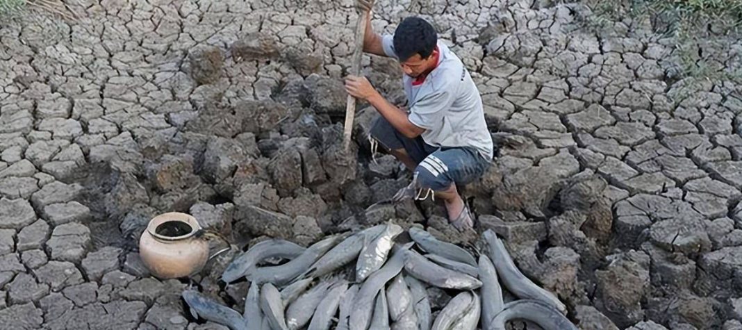 Loài cá kỳ lạ nhất châu Phi: Ẩn mình dưới lòng đất nhiều năm không cần ăn uống nhưng vẫn không thể thoát khỏi bàn tay của con người