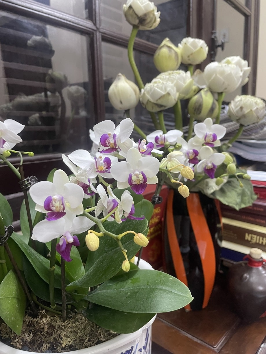 Hình ảnh bàn làm việc của nhà văn Phùng Văn Khai Hình ảnh bàn làm việc của nhà văn Phùng Văn Khai