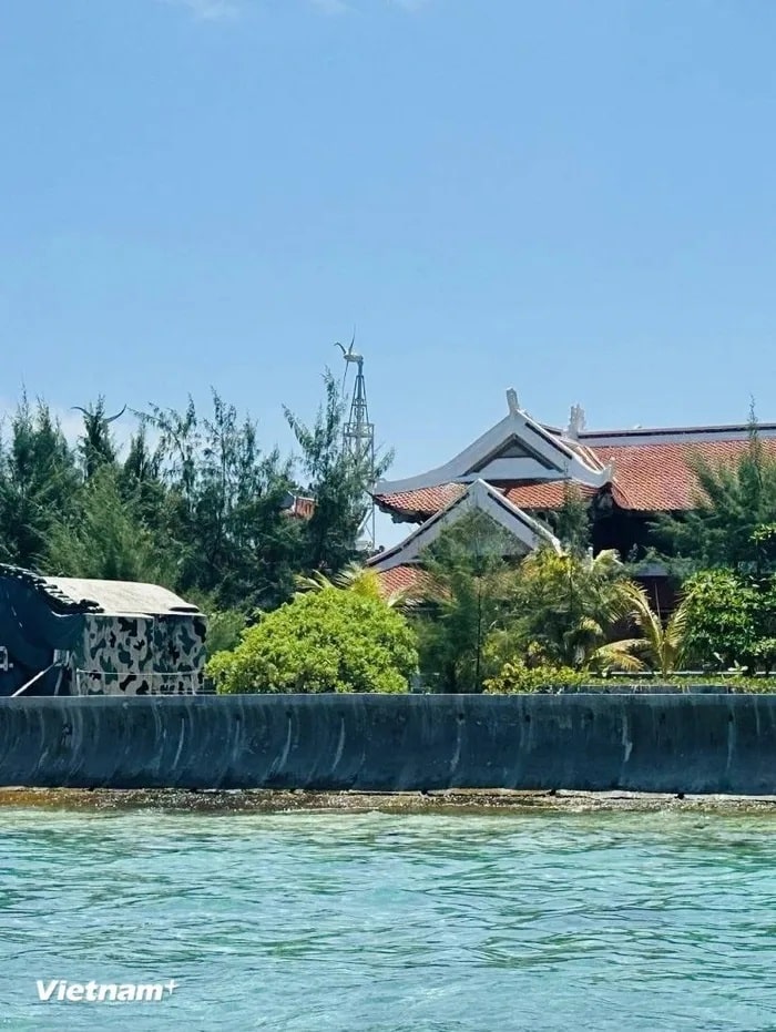 Cây phong ba do chịu được sự khắc nghiệt của thời tiết và sóng biển nên đa phần được trồng vòng ngoài cùng gần biển để góp phần chắn gió bão, chắn cát, thậm chí chắn sóng. (Ảnh: Thùy Giang/Vietnam+) Cây phong ba do chịu được sự khắc nghiệt của thời tiết và sóng biển nên đa phần được trồng vòng ngoài cùng gần biển để góp phần chắn gió bão, chắn cát, thậm chí chắn sóng. (Ảnh: Thùy Giang/Vietnam+)