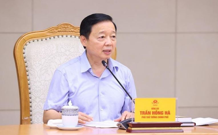 Bảo vệ, phát triển vùng đất lúa theo hướng sản xuất tập trung, quy mô lớn, hiện đại