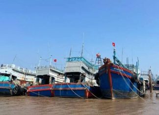 Công bố quyết định quy hoạch hệ thống cảng cá, khu neo đậu tránh trú bão cho tàu cá