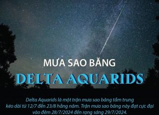 Mưa sao băng Delta Aquarids